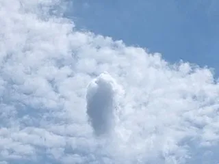 振り回されてる私（笑）