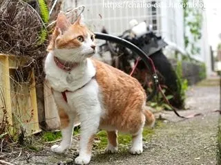 ひとりじめタイム