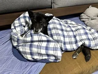 ちょっぴり寒い
