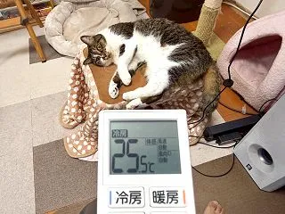 しのぶ9歳と110日。エアコン壊れたｗｗ…