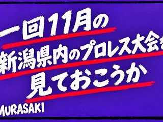 【新潟県内のプロレス】一回11月の大会を…
