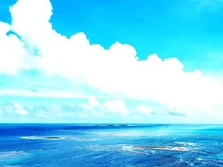 ひまわり（5700回記念）（26)波紋