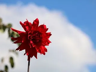 夏と秋と