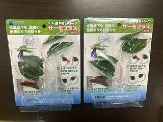 入荷しました