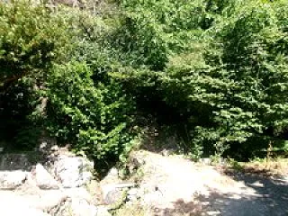 登山・・・立花山（福岡市東区下原）