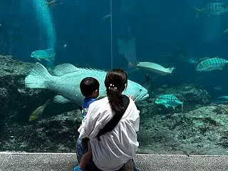 【徒然つらつら】少しずつ譲り合う家に、安…