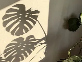 今日で２０年