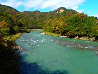 晩秋に向けての太虫ミミズ飼育