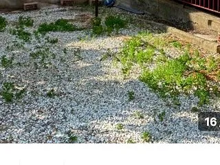 滞納金と共に強気な値段のず太い女