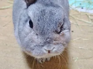 元気になったよ。
