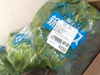 ぷらっと