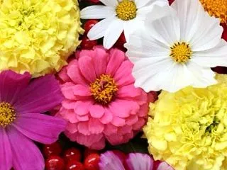 ♠11月の代行と㊗️レッスン