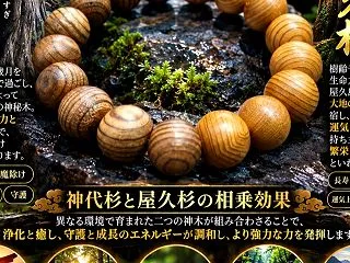 ⛩️ 神代杉 × 屋久杉