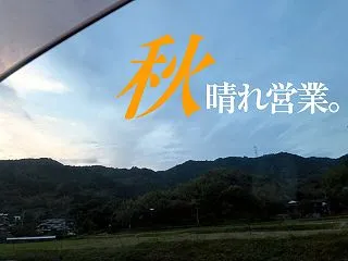 秋晴れ営業。