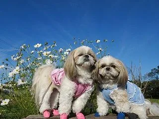 ソウルダンス初の遠征は楽し過ぎた～
