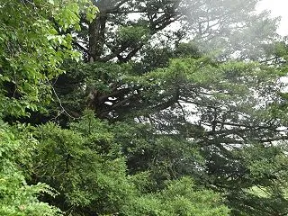 探せばもっとありそうだけど… 小原のコツ…