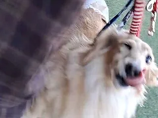 あげないし！