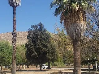 米国で初「大腸内視鏡検査」