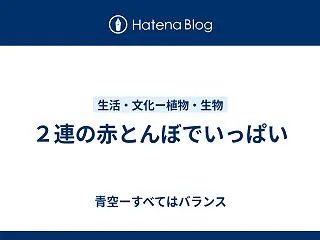 ２連の赤とんぼでいっぱい