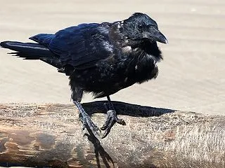 何処へ？