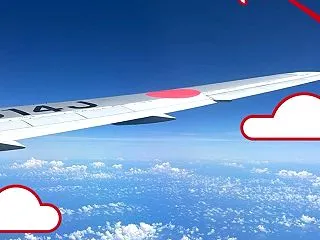 2026石垣島の旅その25〜５年目の石垣…