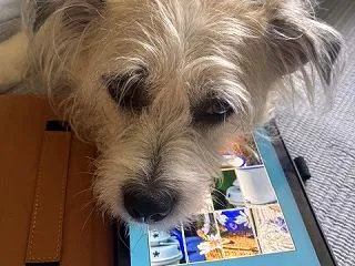 Diegoの事と世間話