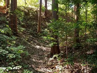 烏山 小志鳥城 本編