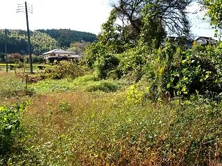 烏山 堀之内館