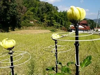 輪台取りつけ（part２）