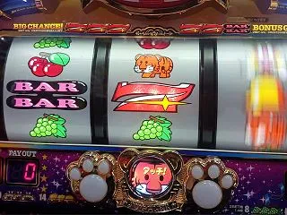 意味のないペカリなんて何一つありはしない…