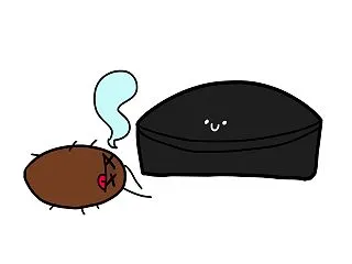 ゴキブリの赤ちゃんが発生！1か月間の戦い…