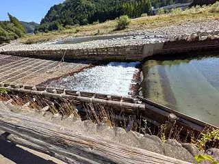 ヤナです～♪・・・(*^▽^*)