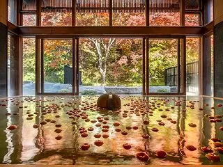 長野県・星野温泉 トンボの湯で「りんご湯…