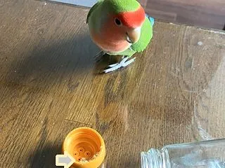 自分を取り戻すことができた楓羽くん