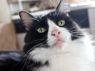 貧乏くさい(^^ゞ