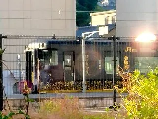 スマホで撮った気動車たち