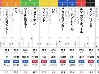 日曜東京11R ブラジルC 予想