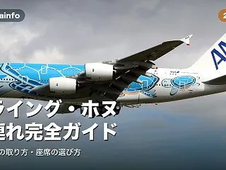 【2026年版】フライング・ホヌ 子連れ…