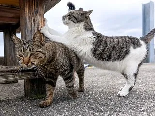 通り抜ける。