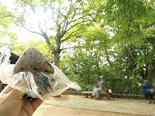 高尾山 下山