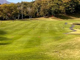 リフレッシュ
