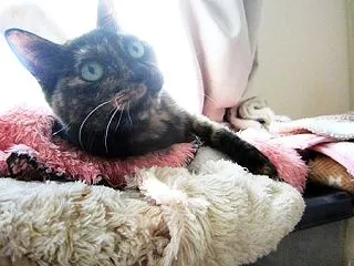 ドライのはずが・・・