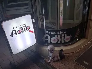 アドリブ行って楽しんで帰って来てやはり午…