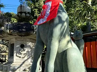 松茸と、お狐さまと。