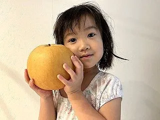 季節の便り