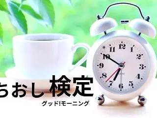 わんぱく相撲 全国大会出場者が体験できる…