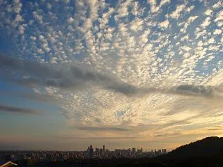 １０月１１日の朝散歩