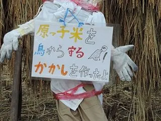 原っ子米のハゼ干し