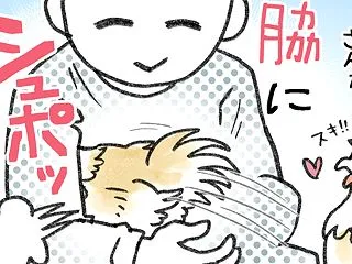 『脇シュポ』ってご存じ？【カワイイ！鶏界…