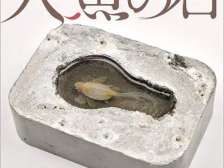 石の中に眠るもの 田辺青蛙『人魚の石』